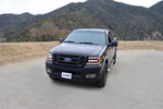 Ford F150 (2004-2008)